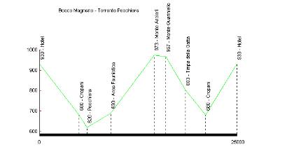 Profilo altimetrico Bosco Magnano